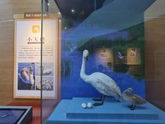 -漩门湾国家湿地公园