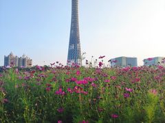 -海心沙亚运公园