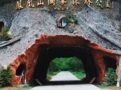 -凤凰山国家森林公园