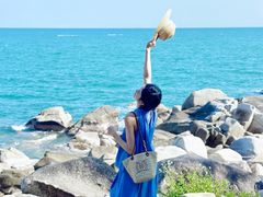 -广东惠东海龟国家级自然保护区
