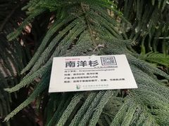-呀路古热带植物园