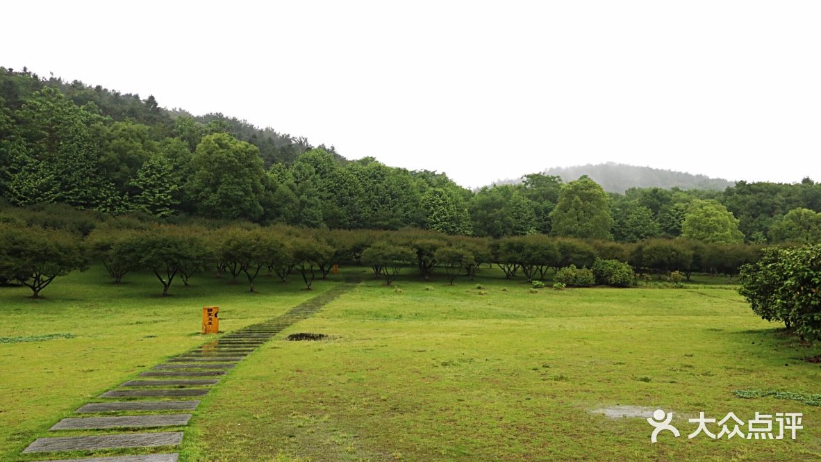 齐山植物公园-图片-长兴县周边游-大众点评网