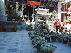 -寂照庵