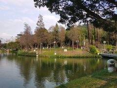 -顺峰山公园