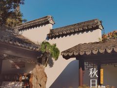 -上海方塔园