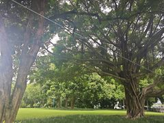 -南宁沃顿国际大酒店-自助餐厅