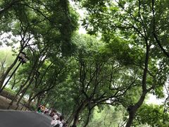 -西湖外事游船(花港观鱼码头)