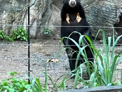 -清迈夜间动物园