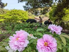 -尚湖风景区