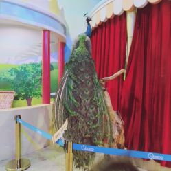 -酷嗒动物文化乐园(cutezoo西溪乐天城店)