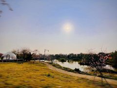 -天适樱花悠乐园