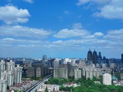 -上海龙之梦万丽酒店