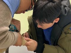 -艾吉宠物医院·疑难杂症转诊中心·猫友好(碧江路院)