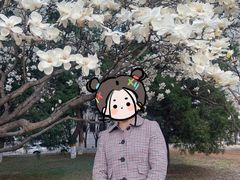 -中央民族大学
