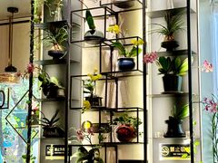 -街角 T·COFFEE 融合料理·BISTRO(车公庙店)