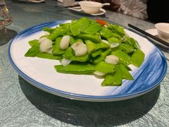 -汾阳金桃园住宿