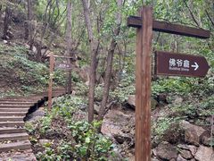-大岭沟猕猴桃谷风景区