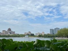 -莲花池公园