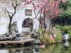 -艺圃