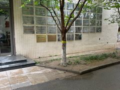 -北京市陈经纶中学分校