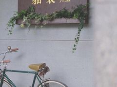 -猫里有甜