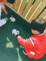 -萌宠亲子动物乐园(槐房万达店)