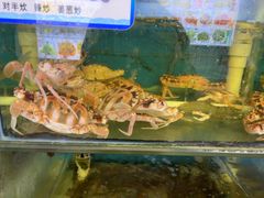 -北港方记海鲜楼·海景餐厅