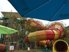 -苏州乐园森林水世界