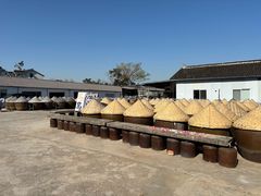 -苏州市吴中区光福窑上花果蜜饯厂