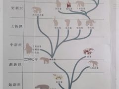 -野象谷景区