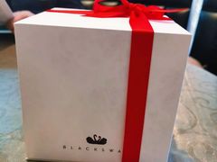 -BLACKSWAN黑天鹅(环球店)