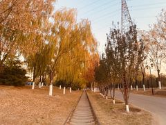 -永定河休闲森林公园