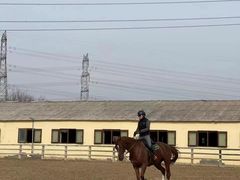 -北京群众马术培训基地