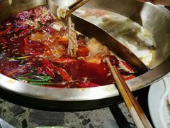 千层肚-小龙坎老火锅(华飞店)