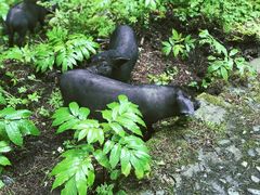 -硗碛藏寨·神木垒景区