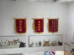 -爱侣宠医·鹦鹉专科·小型哺乳类·异宠专科(灵石路店)