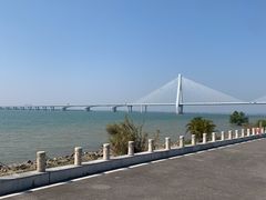 -芒洲湿地公园