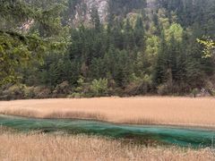 -乡土特色.冷锅鱼.牦牛肉汤锅