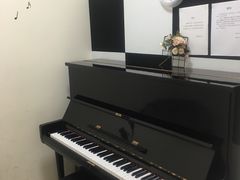 -谈·PIANO(金唐新光界店)