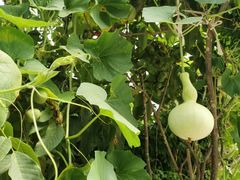 -天津盘山风景名胜区