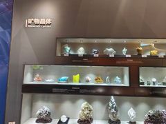 -陕西自然博物馆