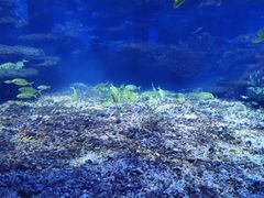 -海合安武汉极地海洋公园