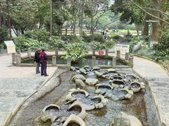 -成都市活水公园