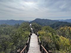 -大岭沟猕猴桃谷风景区