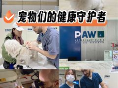 -凯瑞希宠物医院·狂犬免疫·微创·皮肤科