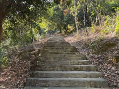 -风云岭森林公园