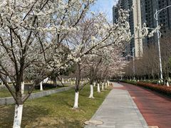 -保利国际影城杭州中南店