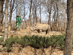 -北京野生动物园