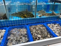 -韩胜·料理级自助烤肉海鲜火锅(财富港店)