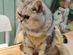 -小时光咖啡馆(北锣鼓巷店)